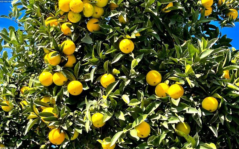 Türkiye-Avrupa İlişkilerinde Yeni Dönem: Liderler Zirvesi Sonuçları